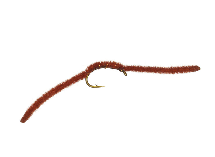 San Juan Worm