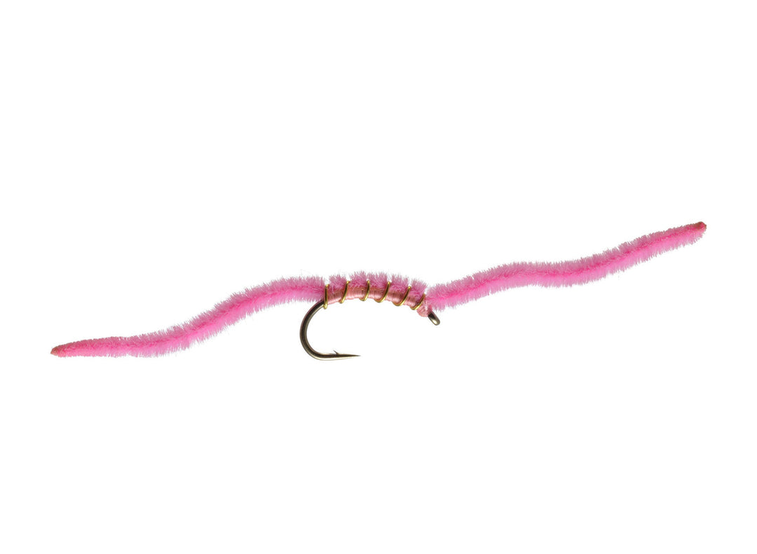 San Juan Worm