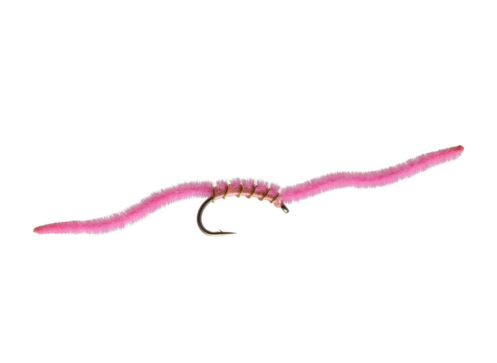 San Juan Worm