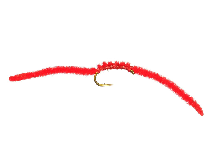 San Juan Worm