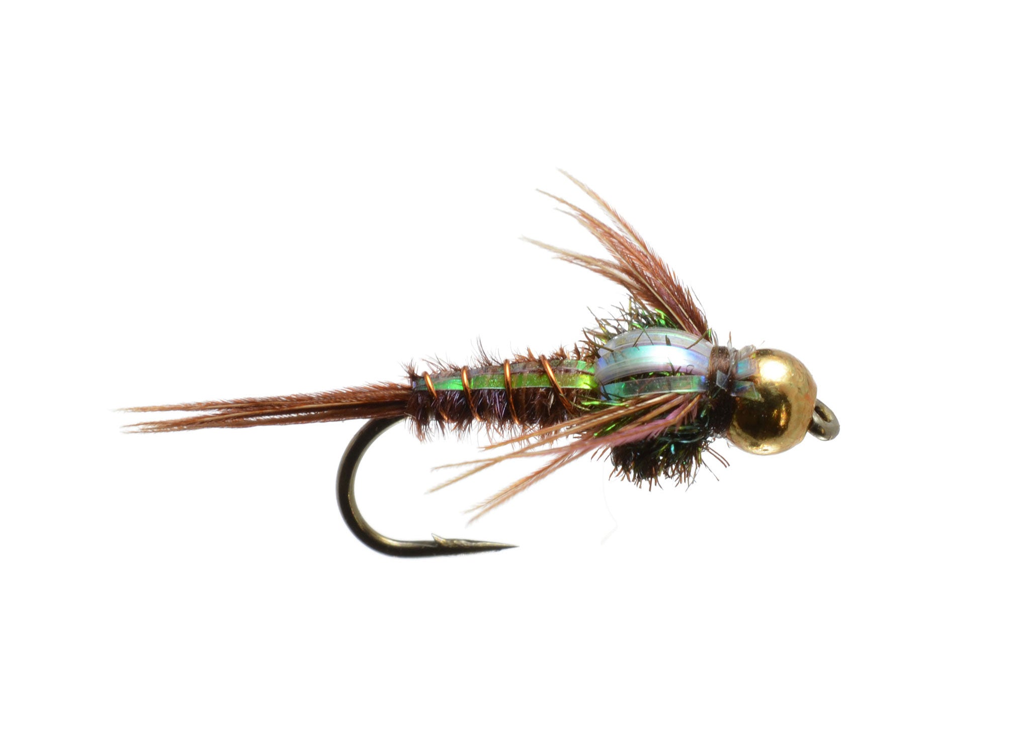 Beaded Flashback Fly Pattern All Flies – rainysflies