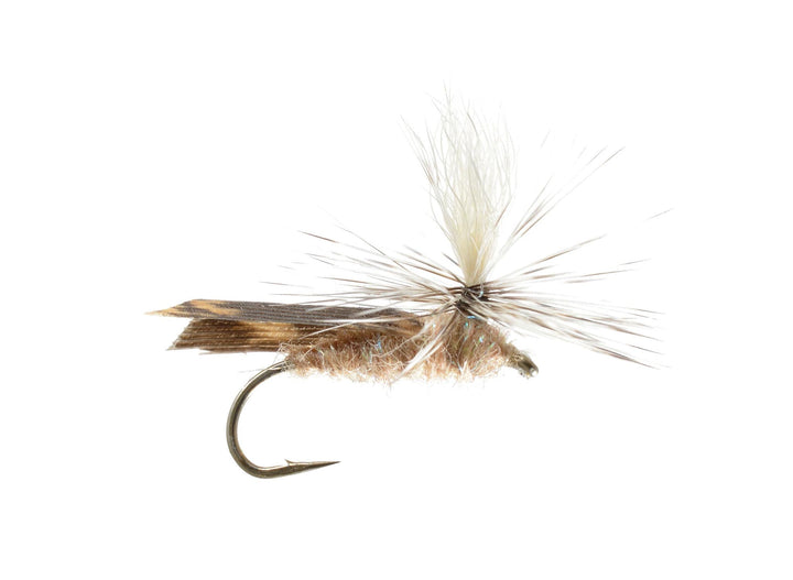 Parachute Caddis