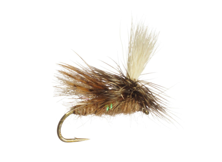 E-Z Caddis