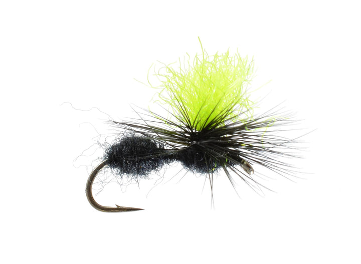 Hi-Viz Para Ant