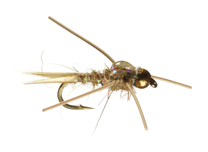 Epoxyback Hare&