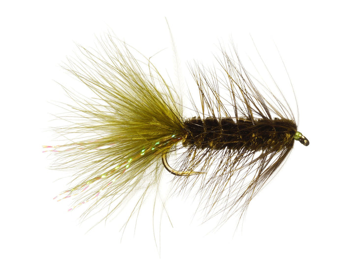 Woolly Bugger