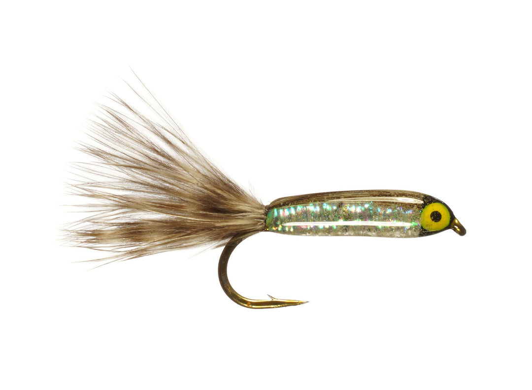 Bristol Bay Sockeye Fry