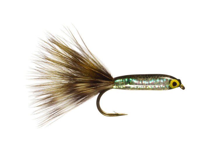 Bristol Bay Sockeye Fry