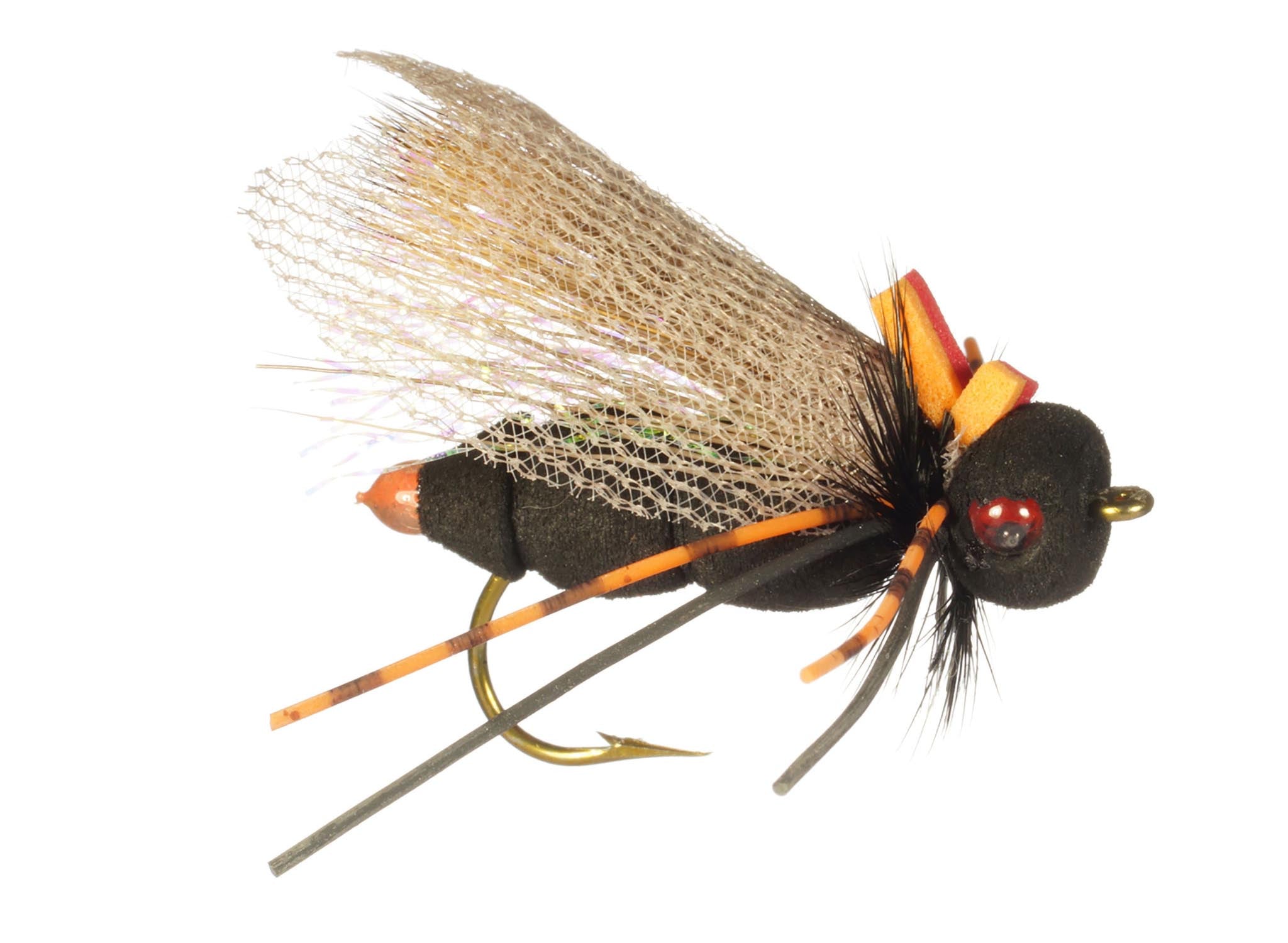 Rainy's Ultimate Cicada - Black/Orange - FM