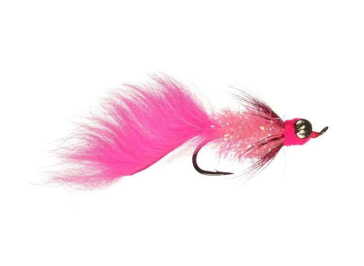 Fat Cat Leech