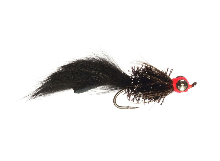Fat Cat Leech