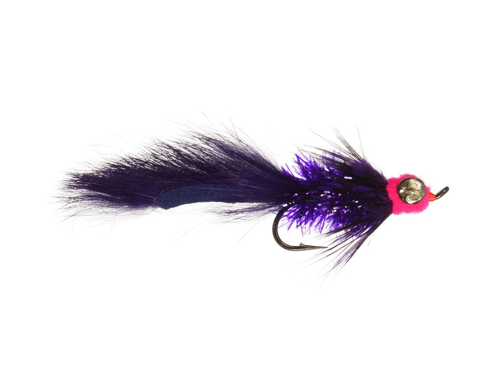 Fat Cat Leech