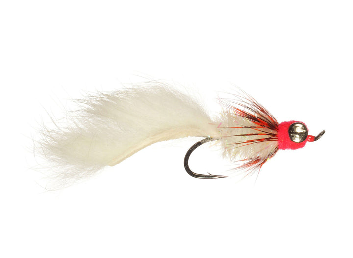 Fat Cat Leech