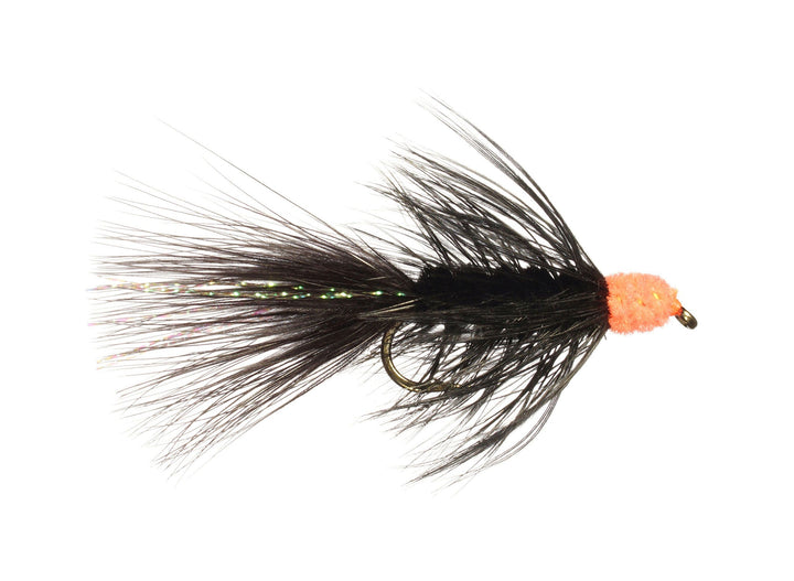 Egg-Sucking Leech