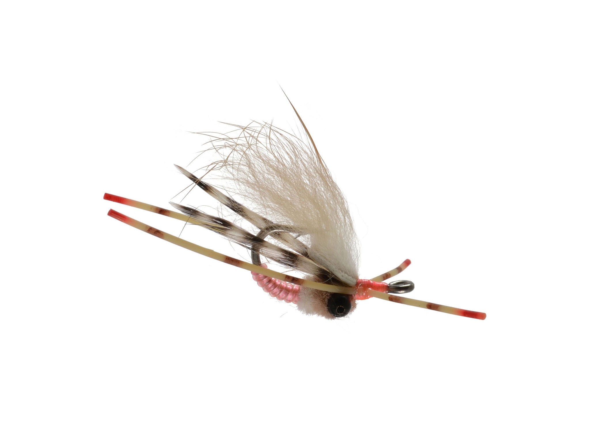 Colby's Casuarina Spinner