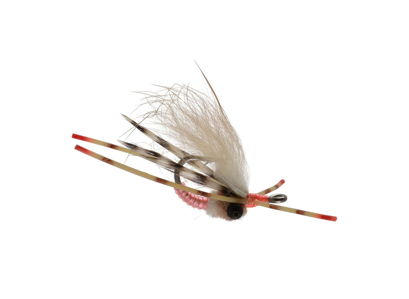 Colby's Casuarina Spinner