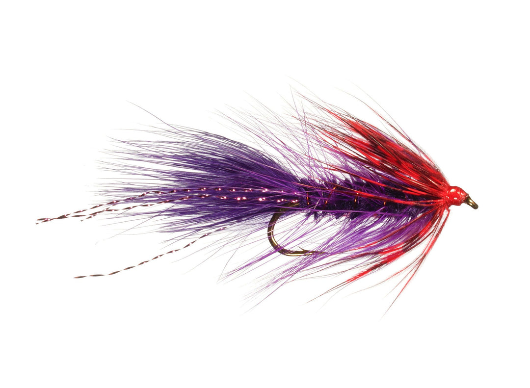 Ingersoll&
