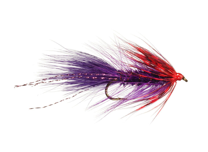 Ingersoll&