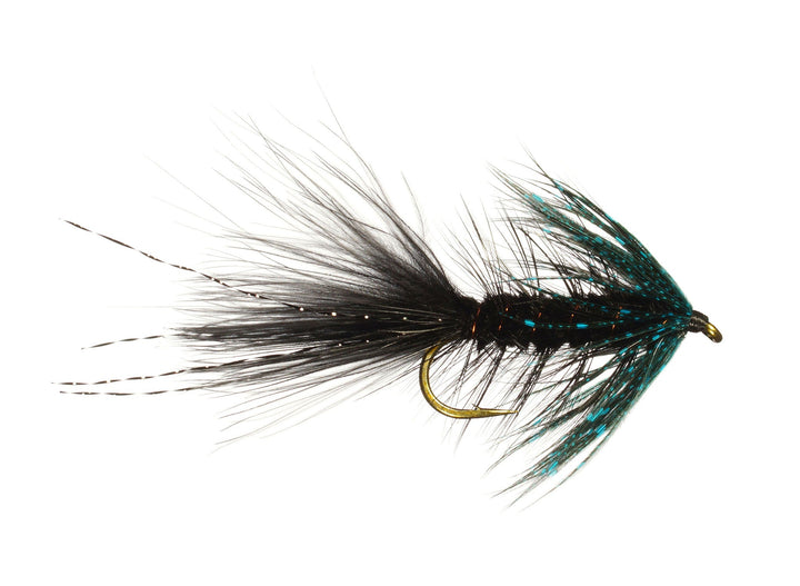 Ingersoll&