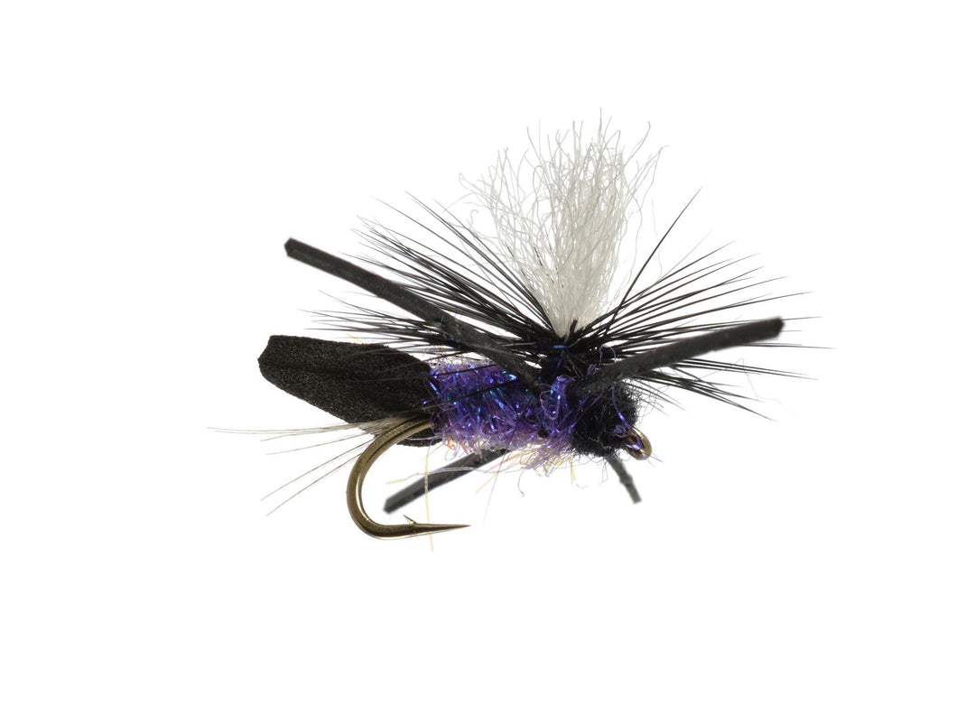 Master Attractor