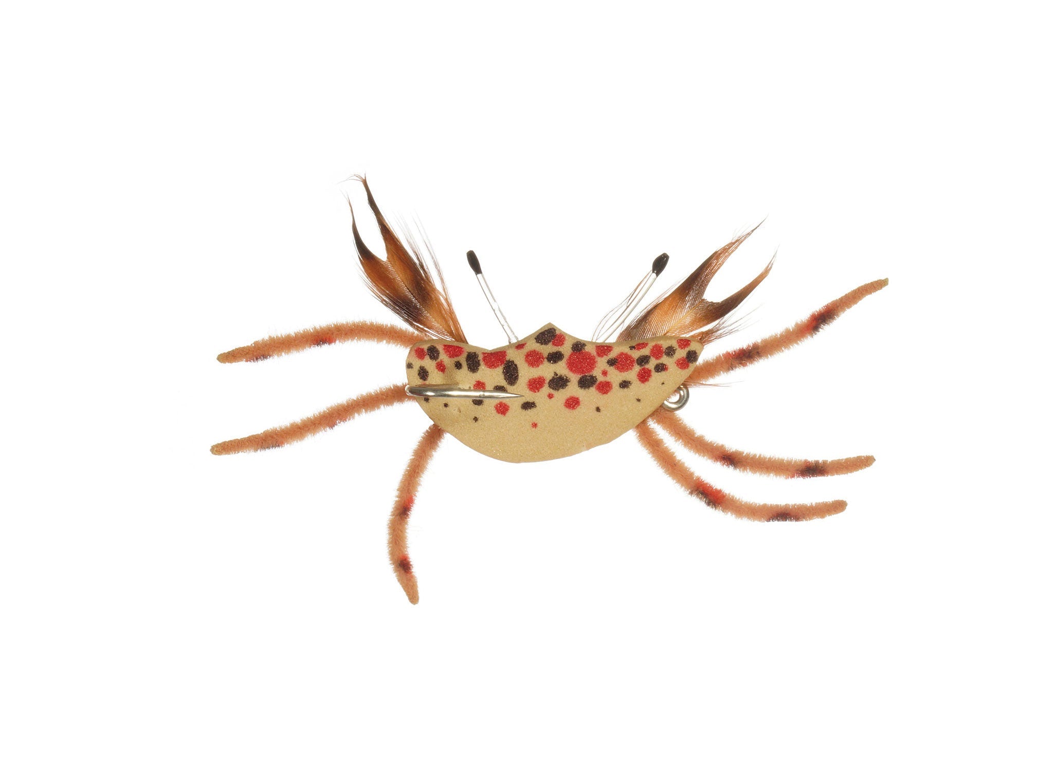 Satkowski's Bonehead Crab - FM/WTD