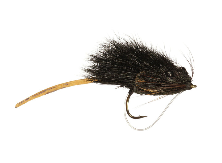 Whitlock&